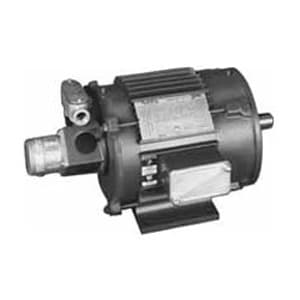 Leeson LM03099 Multi Phase; 7-1/2HP; 213TC Frame Size; 1800 Sync RPM; 230/460 Voltage; AC; TEBC Enclosure; NEMA Frame Profile; Three Phase; 60 Hertz; C-Face and Foot Mounted; Base; 1-3/8" Shaft Diameter; 5-1/4" Base to Center of Shaft; 24.94" Overall Length LM03099 on Advantage Electric Supply